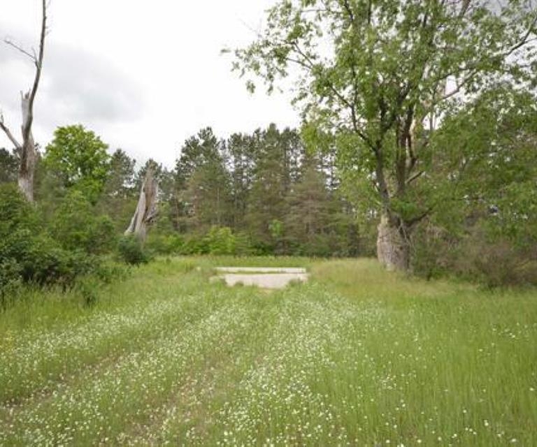 0 43 North 43 1/2 Road, Unit LOT: B Manton, MI 49663 - Photo 11 of 12