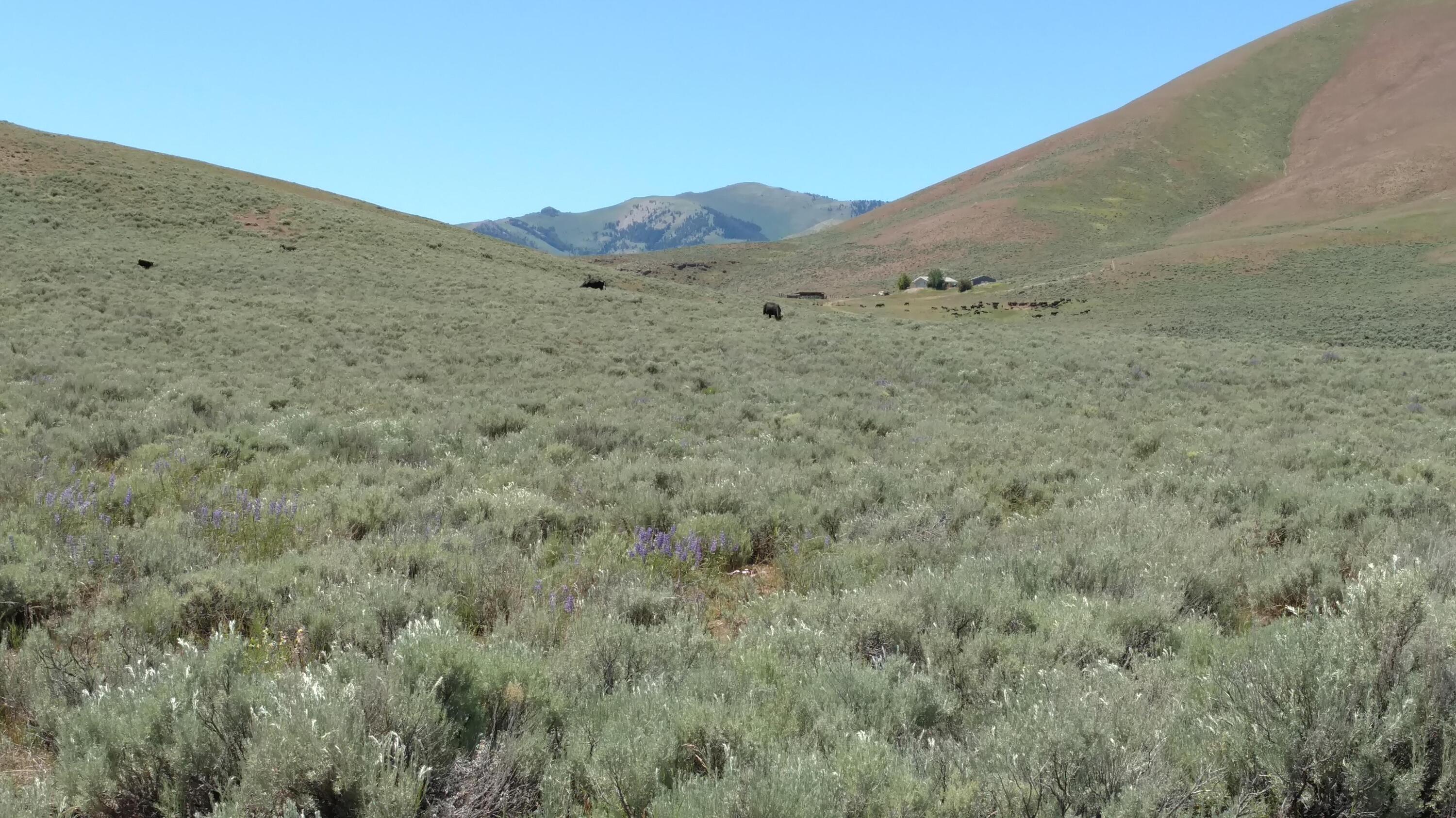 1981 Blizzard Mountain Road Moore, ID 83255 - Photo 36 of 41 IMG_20180612_142908438