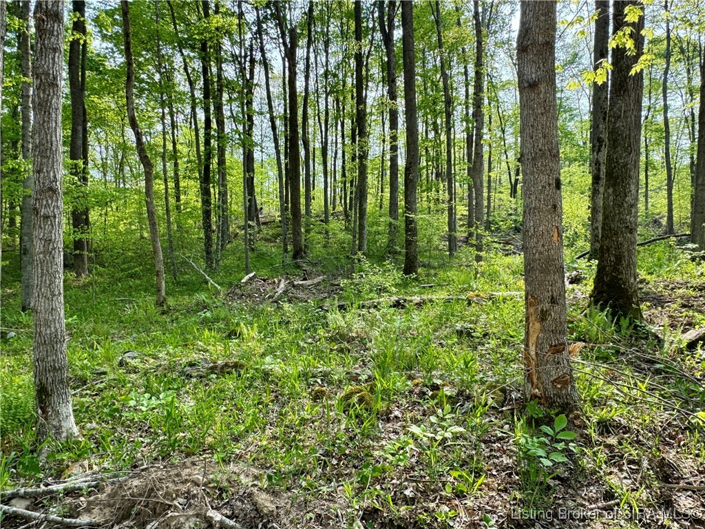 900 W South County Road French Lick, IN 47432 - Photo 21 of 41
