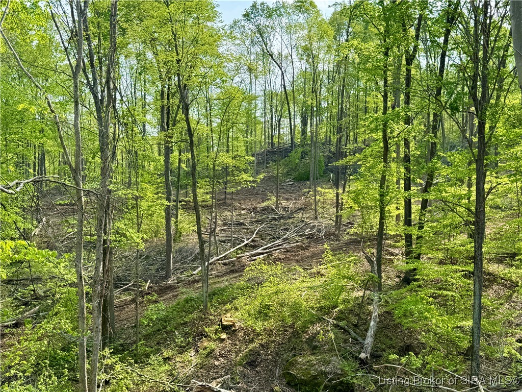 900 W South County Road French Lick, IN 47432 - Photo 23 of 41