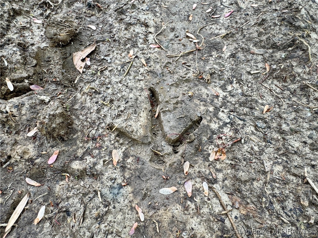 900 W South County Road French Lick, IN 47432 - Photo 27 of 41