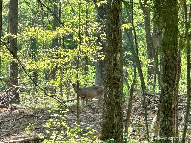 $398,500 | 900 W South County Road, French Lick, IN 47432