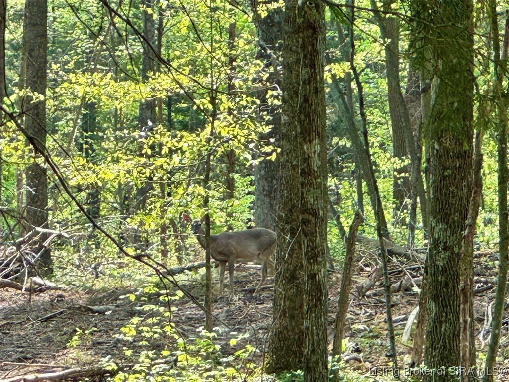 900 W South County Road French Lick, IN 47432 - Photo 28 of 41