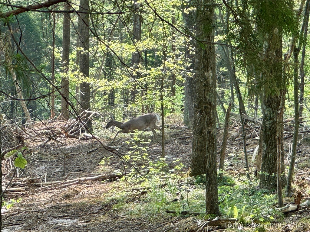 900 W South County Road French Lick, IN 47432 - Photo 29 of 41