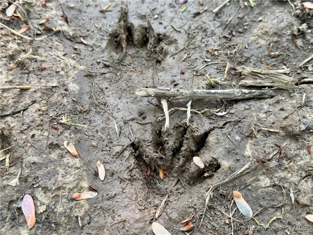 900 W South County Road French Lick, IN 47432 - Photo 30 of 41