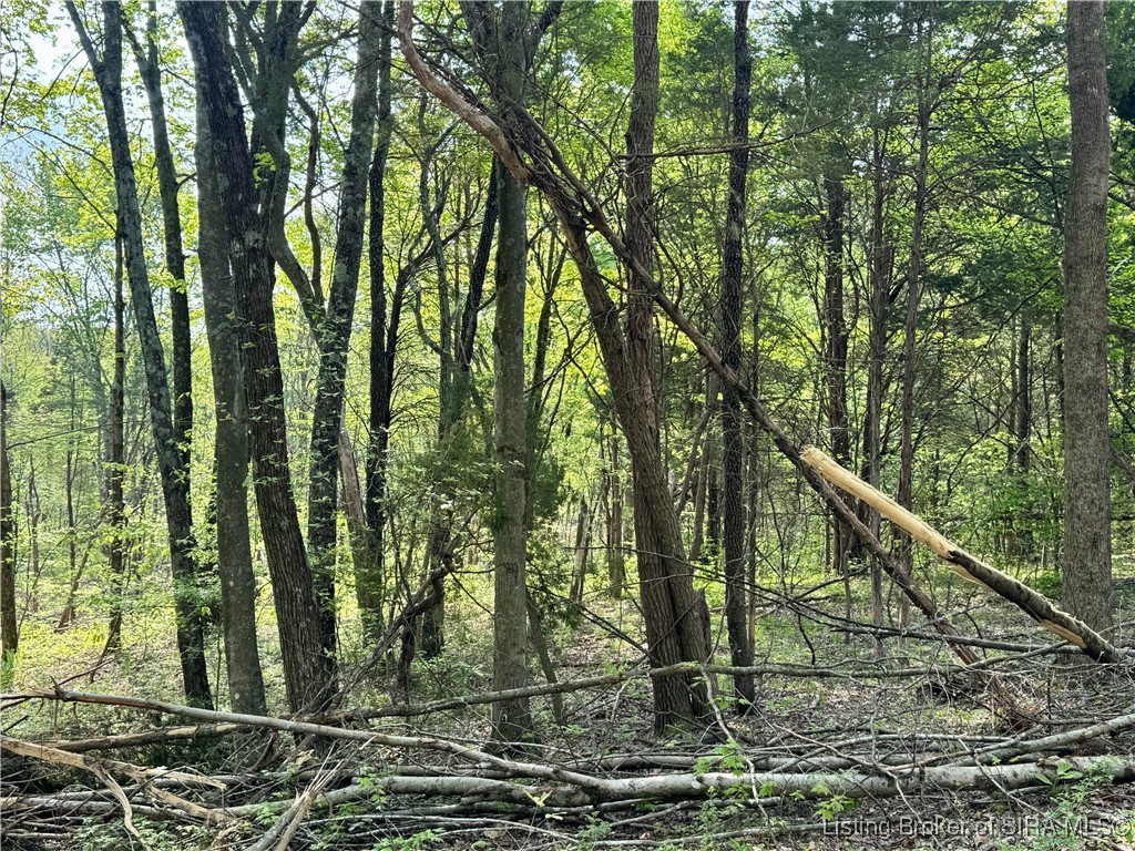 900 W South County Road French Lick, IN 47432 - Photo 31 of 41