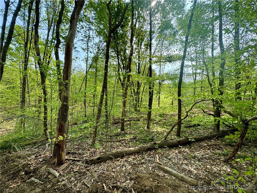 900 W South County Road French Lick, IN 47432 - Photo 32 of 41