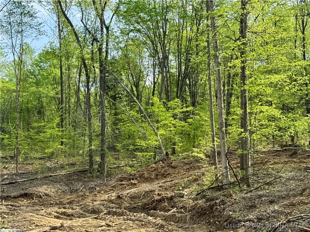 900 W South County Road French Lick, IN 47432 - Photo 33 of 41