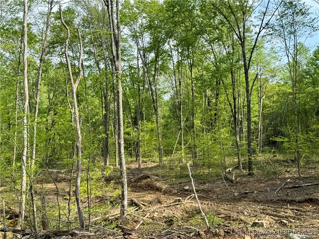 900 W South County Road French Lick, IN 47432 - Photo 34 of 41