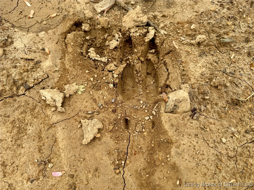 900 W South County Road French Lick, IN 47432 - Photo 39 of 41