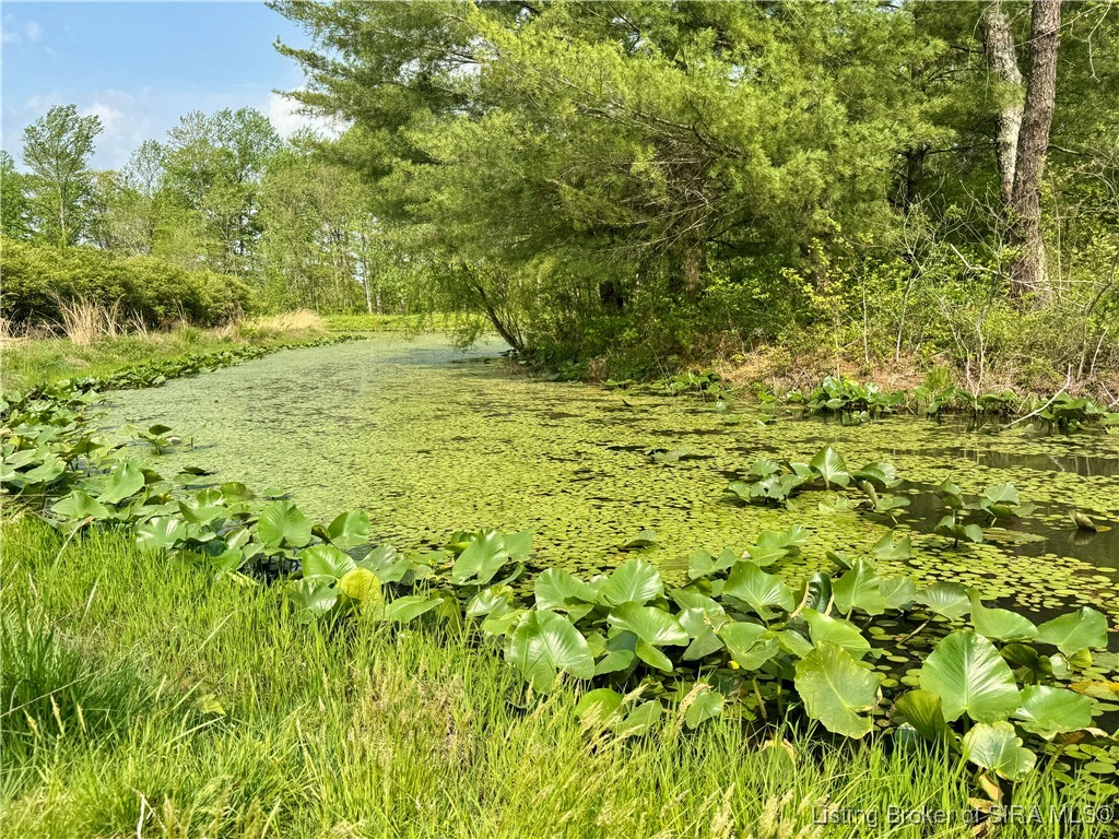 900 W South County Road French Lick, IN 47432 - Photo 8 of 41