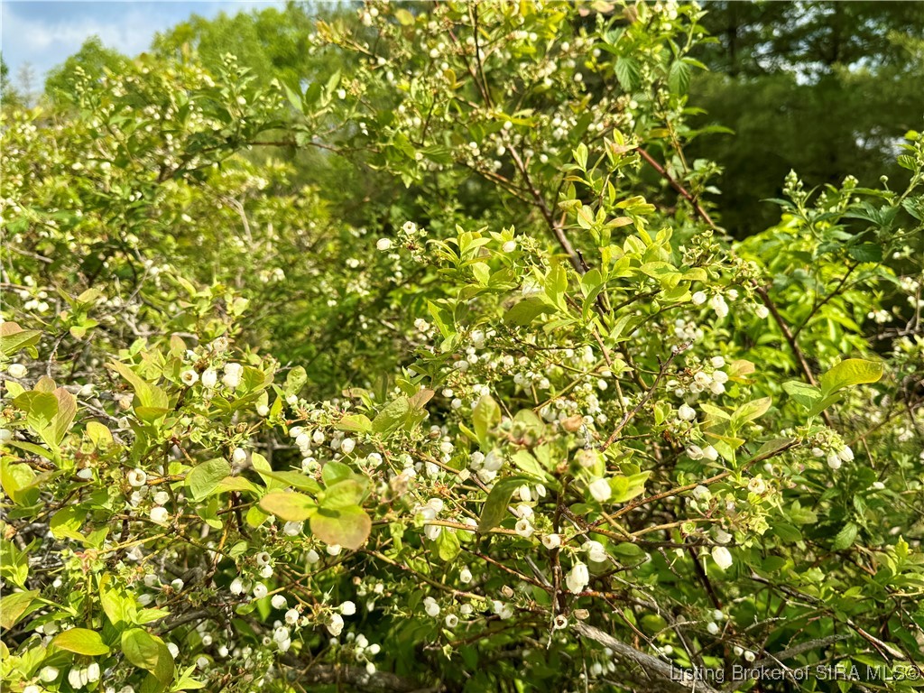 900 W South County Road French Lick, IN 47432 - Photo 9 of 41