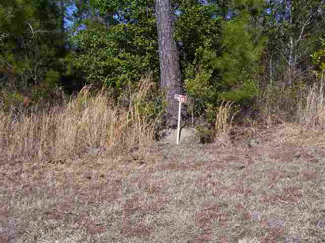 58 Nautilus Drive Murrells Inlet, SC 29576 - Photo 1 of 13 Gallery Image 1