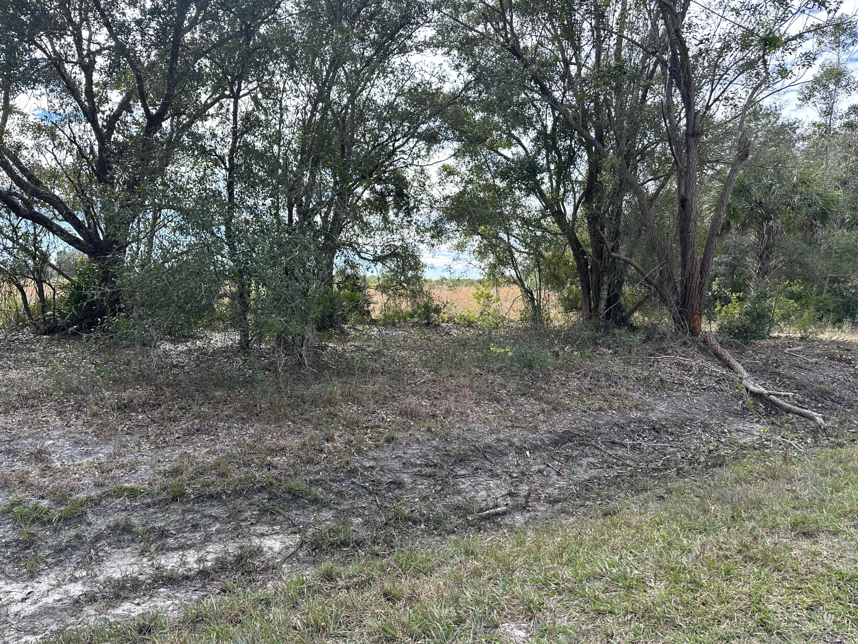 15322 Northwest 252nd Street Okeechobee, FL 34972 - Photo 3 of 5 IMG_6519