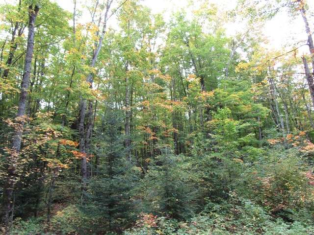 15-ac Island Lake Road Hurley, WI 54534 - Photo 13 of 13 Gallery Image 13