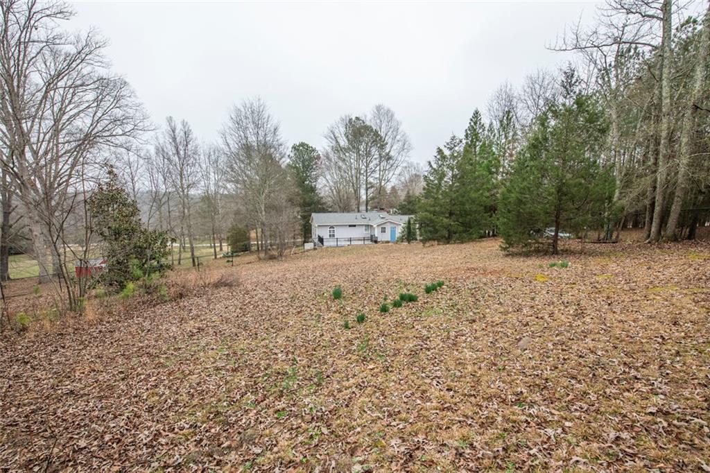 3819 Mason Creek Road Winston, GA 30187 - Photo 46 of 52 a view of a yard with snow on the road