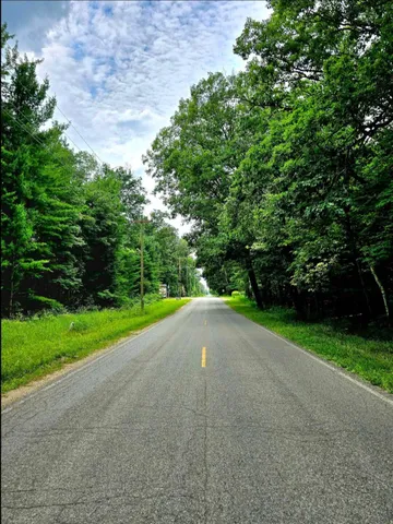 $12,000 | 11 West Mile Avenue, Bitely, MI 49309