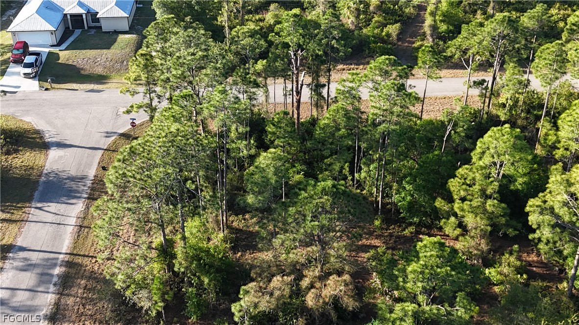 1251 Bermar Street Fort Myers, FL 33913 - Photo 2 of 20 a view of a garden with plants