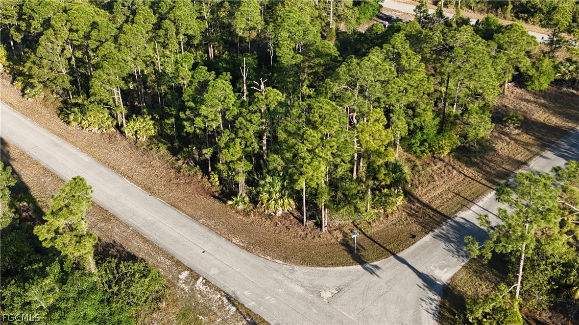 1251 Bermar Street Fort Myers, FL 33913 - Photo 7 of 20 a view of a yard with a flower plants