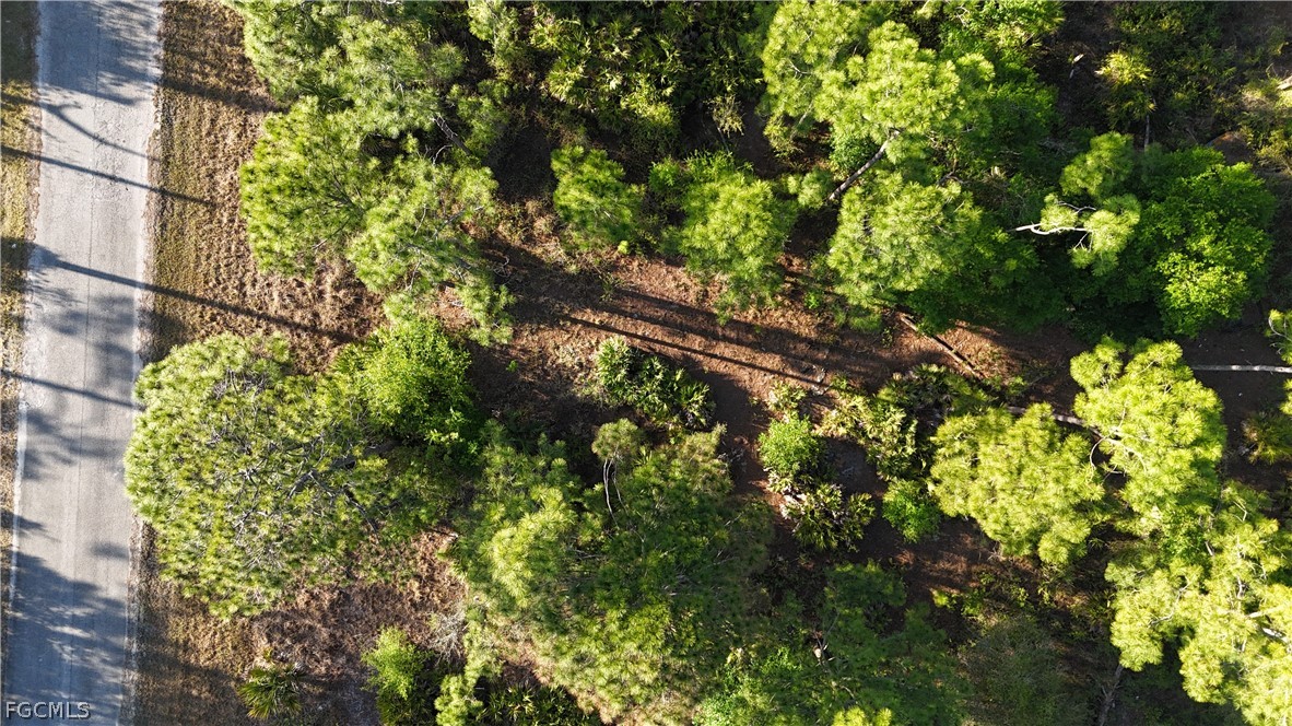 1251 Bermar Street Fort Myers, FL 33913 - Photo 9 of 20 a view of a tree