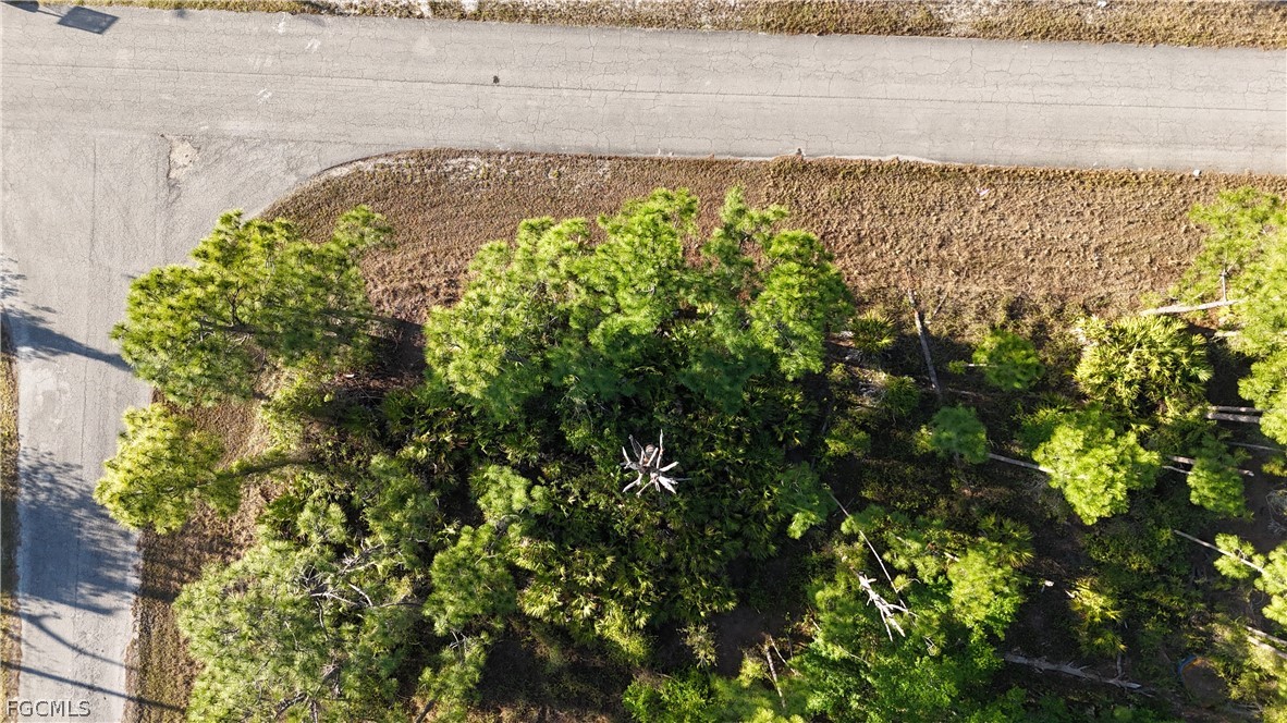 1251 Bermar Street Fort Myers, FL 33913 - Photo 10 of 20 a view of a lake view