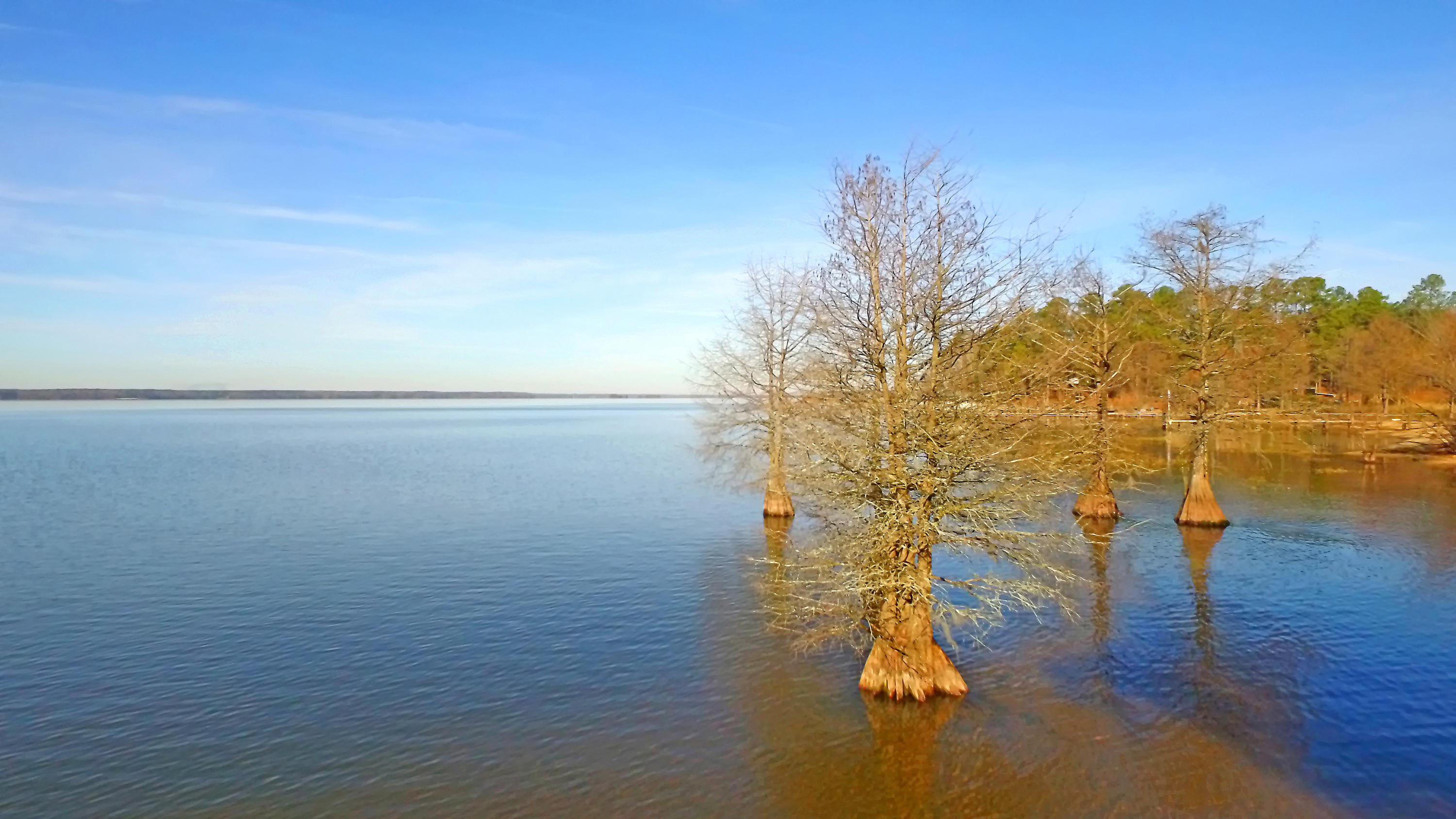 1 Scott Lake Road Summerton, SC 29148 - Photo 19 of 20 DJI_0023 copy