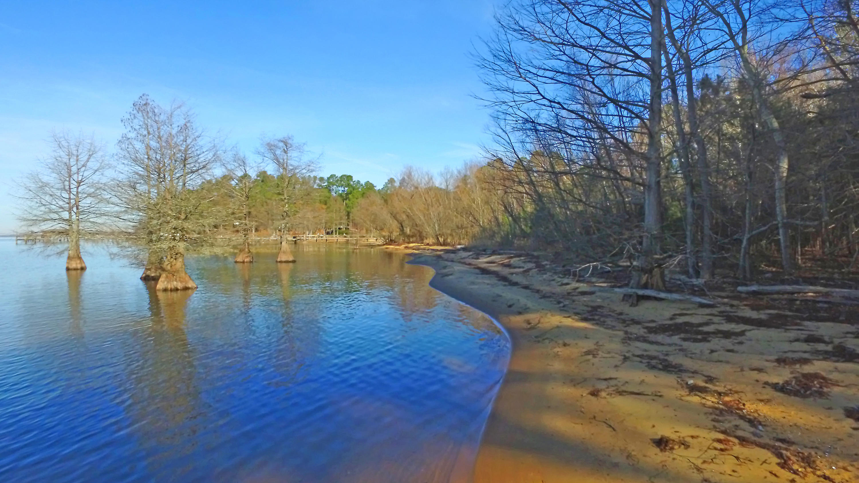 1 Scott Lake Road Summerton, SC 29148 - Photo 20 of 20 DJI_0024 copy