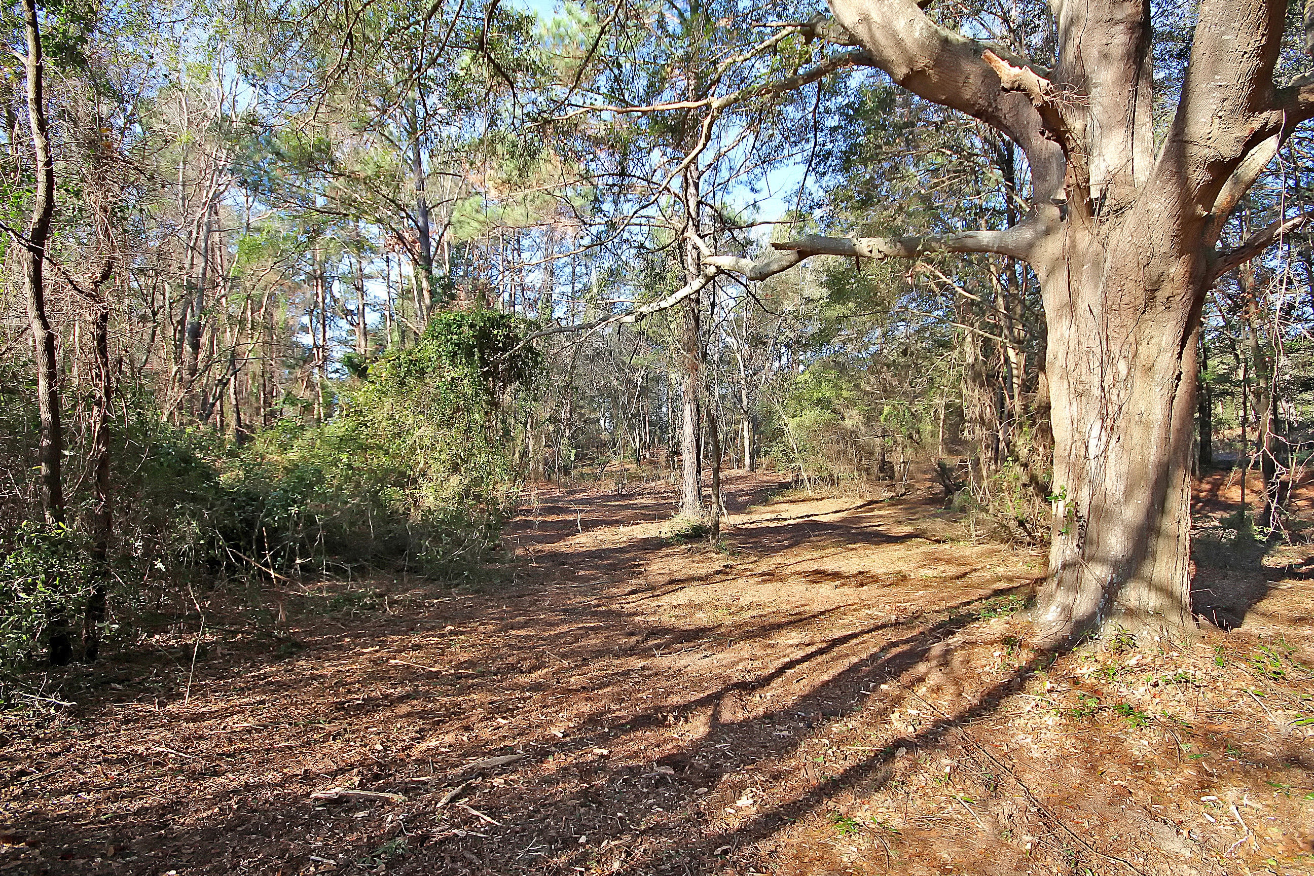 1 Scott Lake Road Summerton, SC 29148 - Photo 3 of 20 IMG_1733 copy