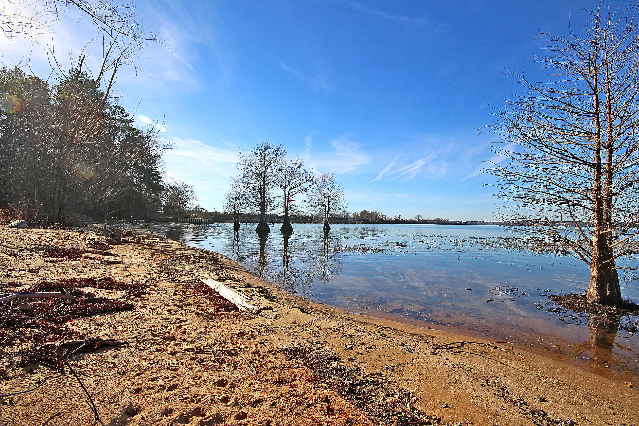 1 Scott Lake Road Summerton, SC 29148 - Photo 5 of 20 IMG_1736 copy