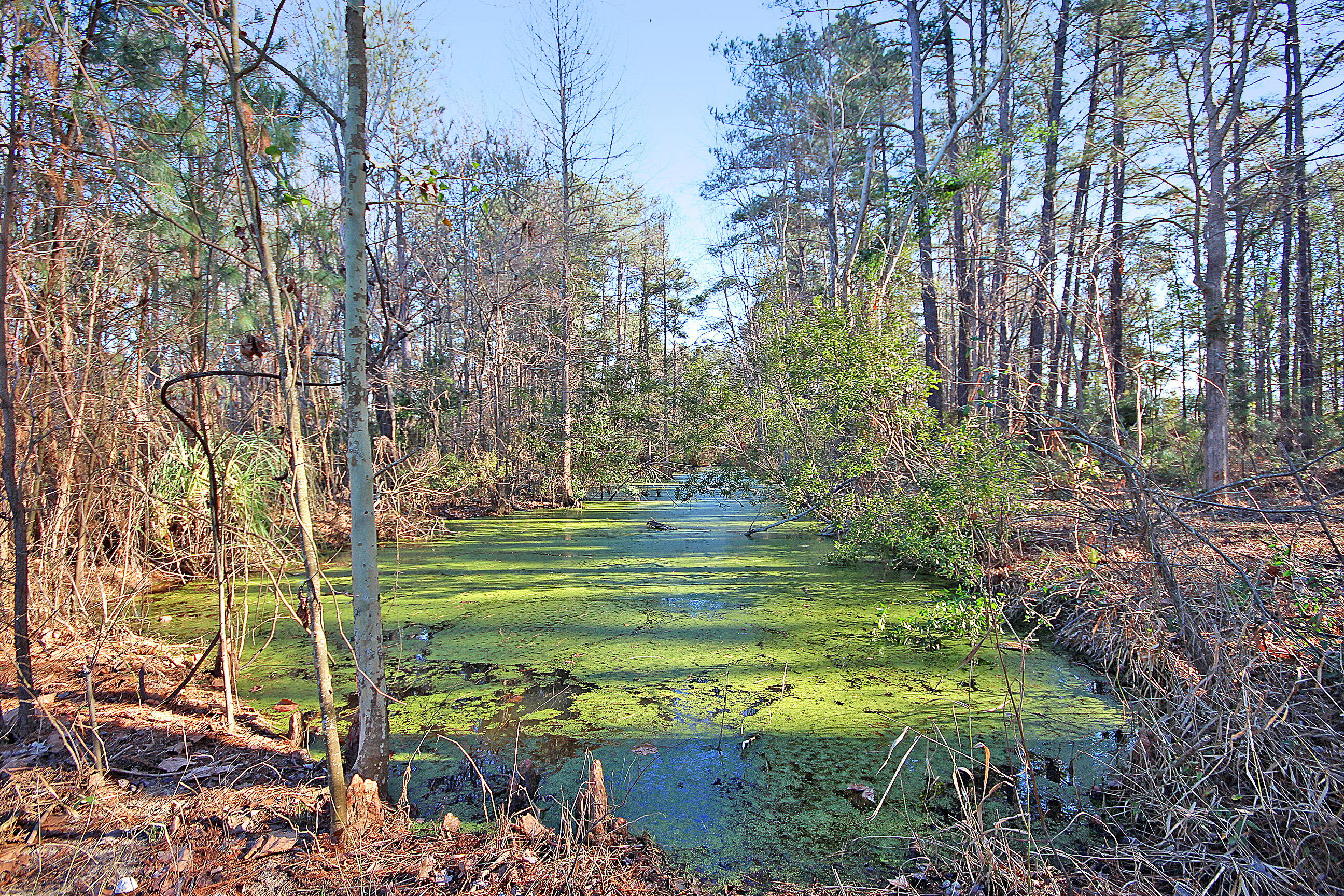 1 Scott Lake Road Summerton, SC 29148 - Photo 7 of 20 IMG_1739 copy