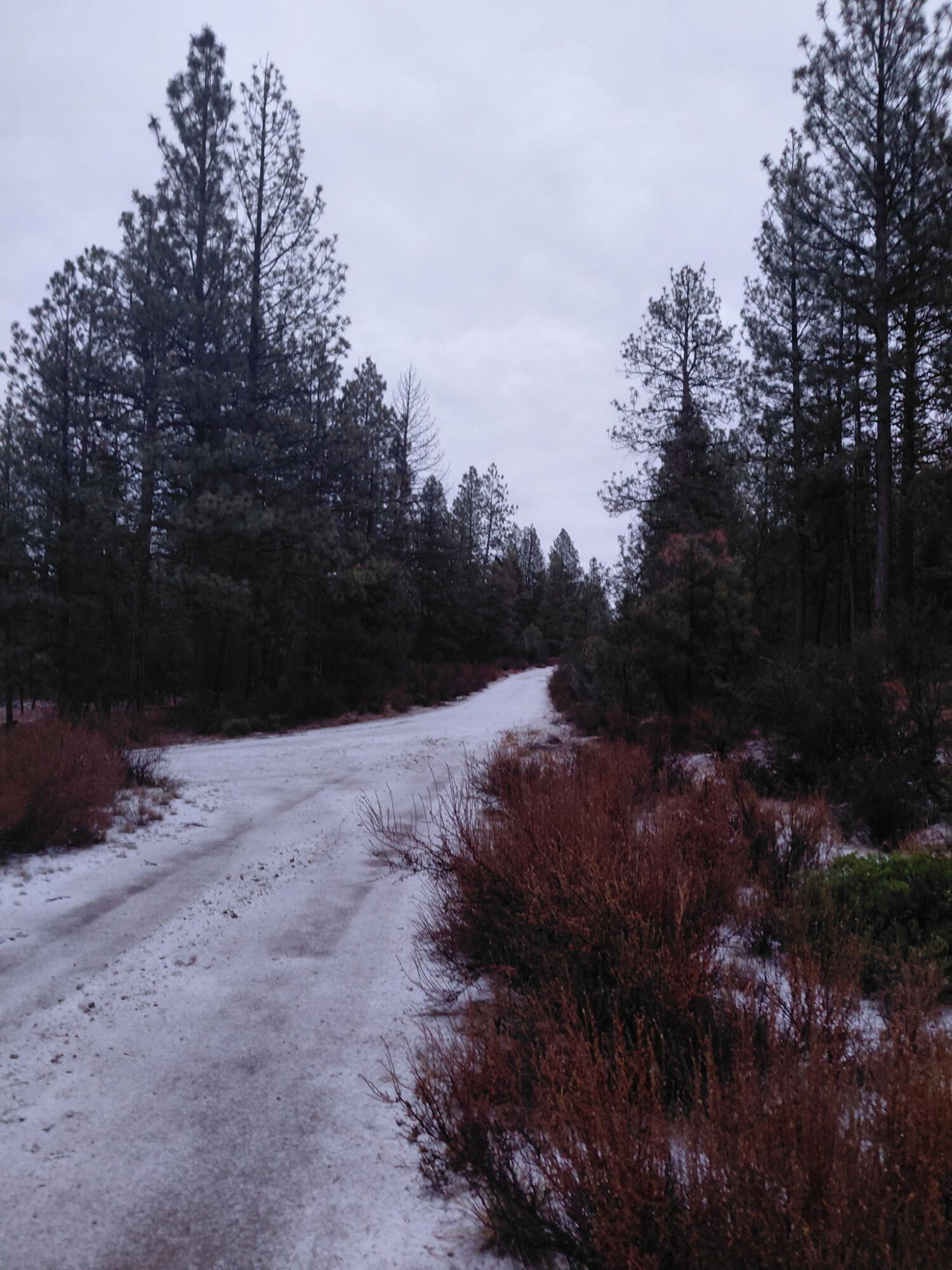 0 Partin Drive, Unit 5 Beatty, OR 97621 - Photo 16 of 16 Street View
