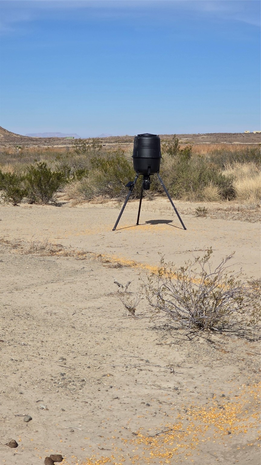 Tbd Tbd Mailbox Road Alpine, TX 79830 - Photo 14 of 18