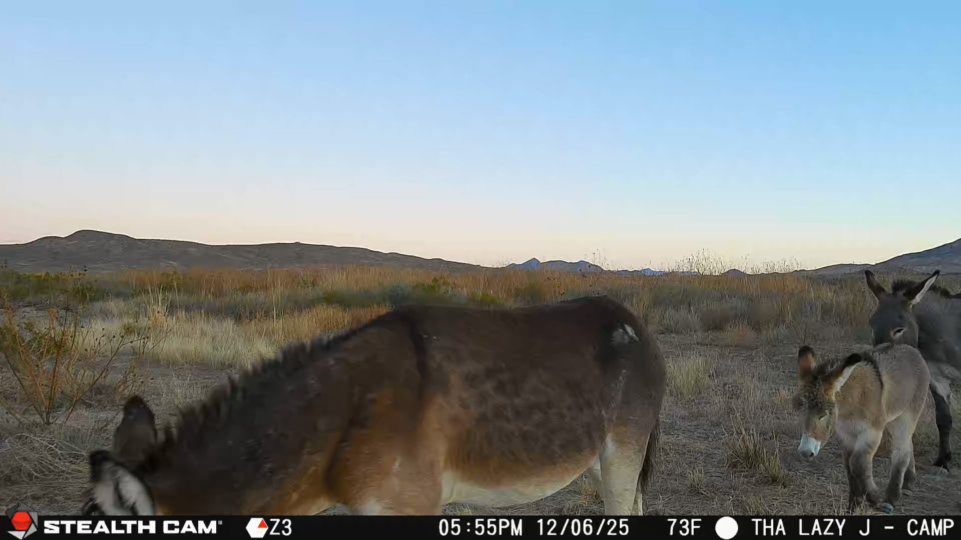 Tbd Tbd Mailbox Road Alpine, TX 79830 - Photo 16 of 18