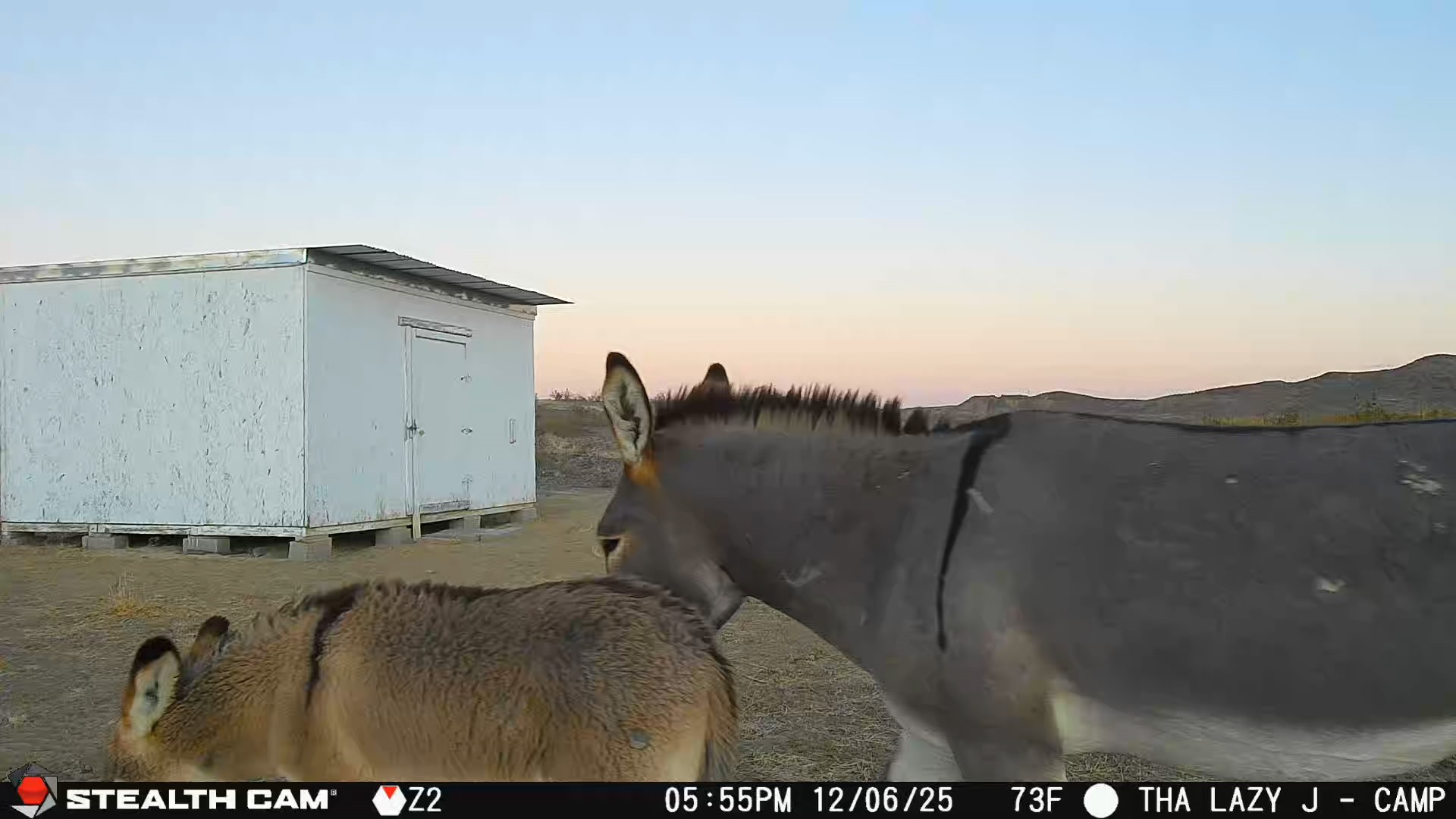 Tbd Tbd Mailbox Road Alpine, TX 79830 - Photo 17 of 18