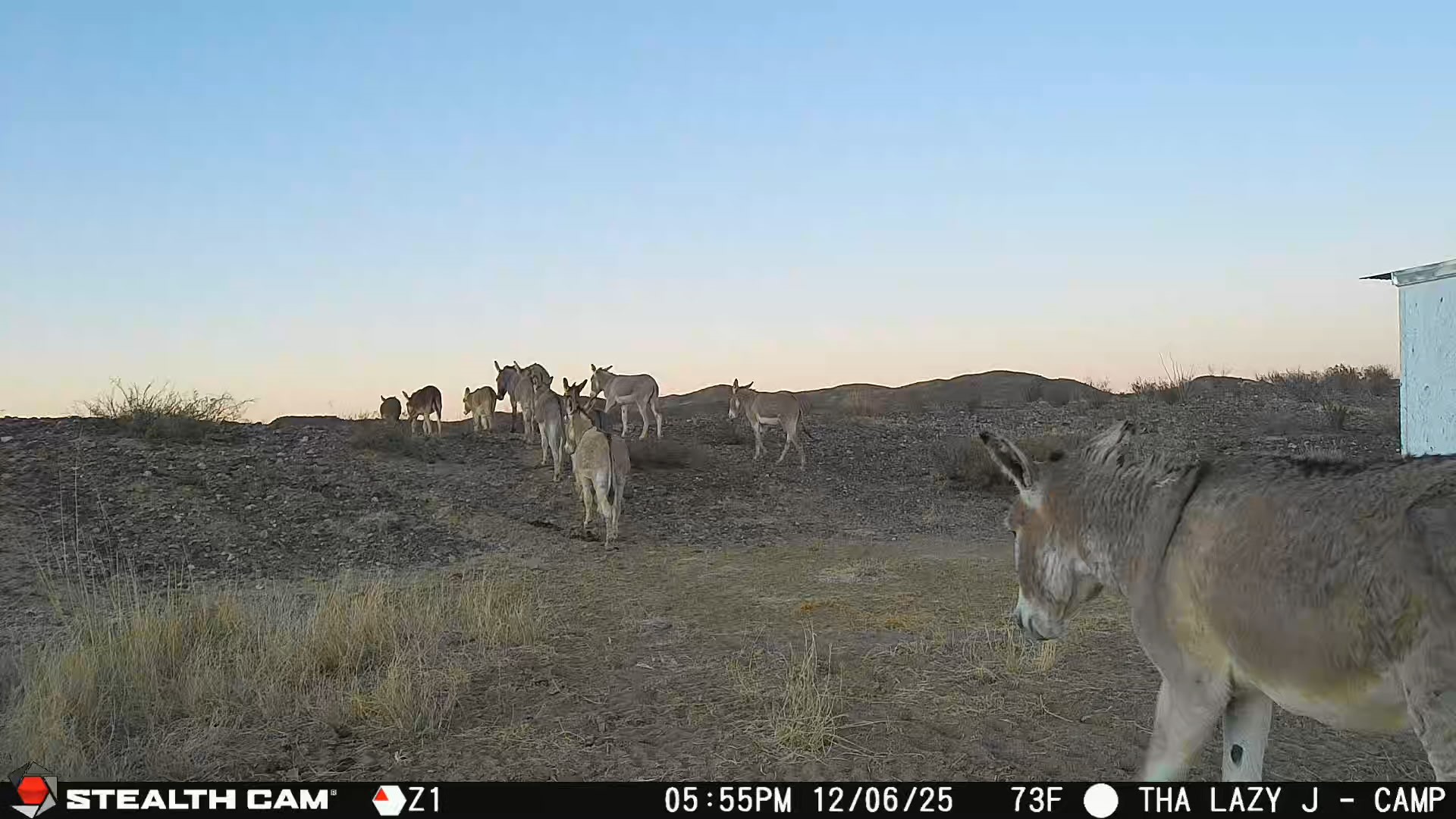 Tbd Tbd Mailbox Road Alpine, TX 79830 - Photo 18 of 18