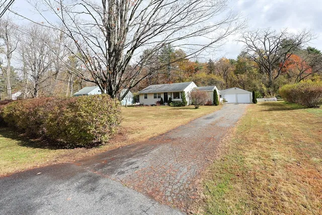 a view of a yard with trees