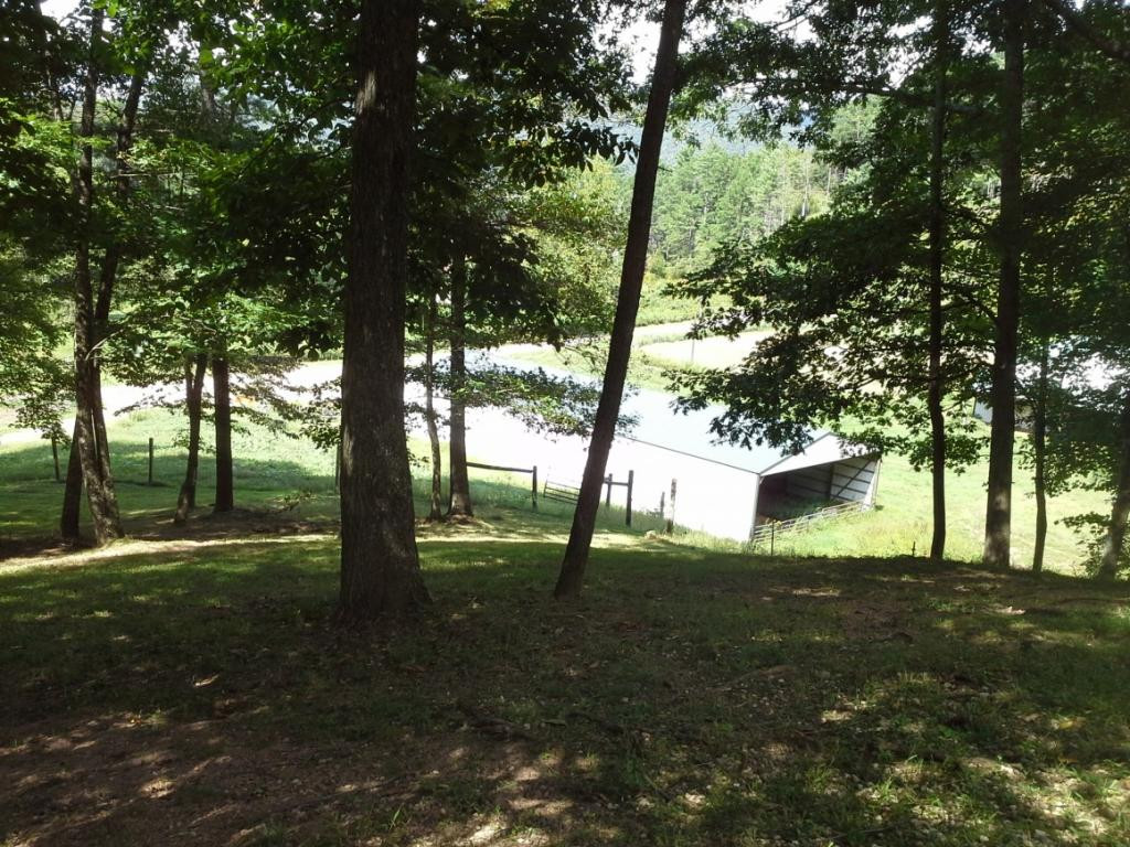 800 Reece Hill Road Mountain City, TN 37683 - Photo 23 of 33 Photo 23