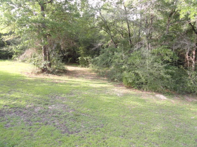 2592 Hinote Road DeFuniak Springs, FL 32433 - Photo 39 of 46 a view of a yard with a trees