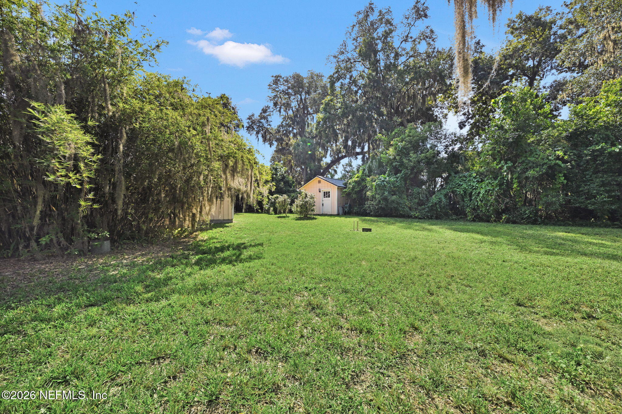 806 River Road Orange Park, FL 32073 - Photo 54 of 75 Backyard