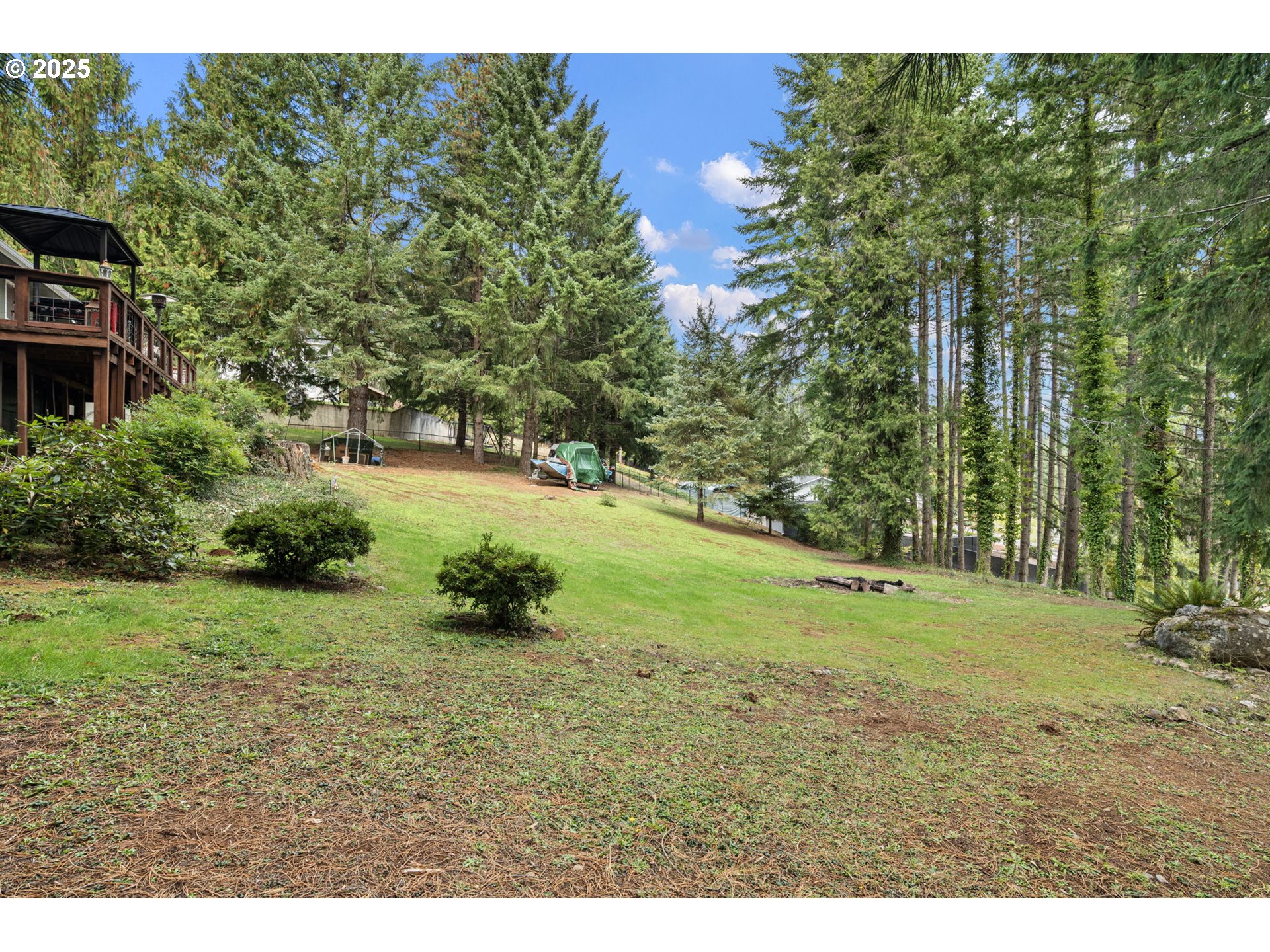 130 Tioga Court Cottage Grove, OR 97424 - Photo 15 of 44 a view of a park with a tree
