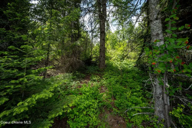 $499,999 | 0 Vogel Road, Coeur D'Alene, ID 83814