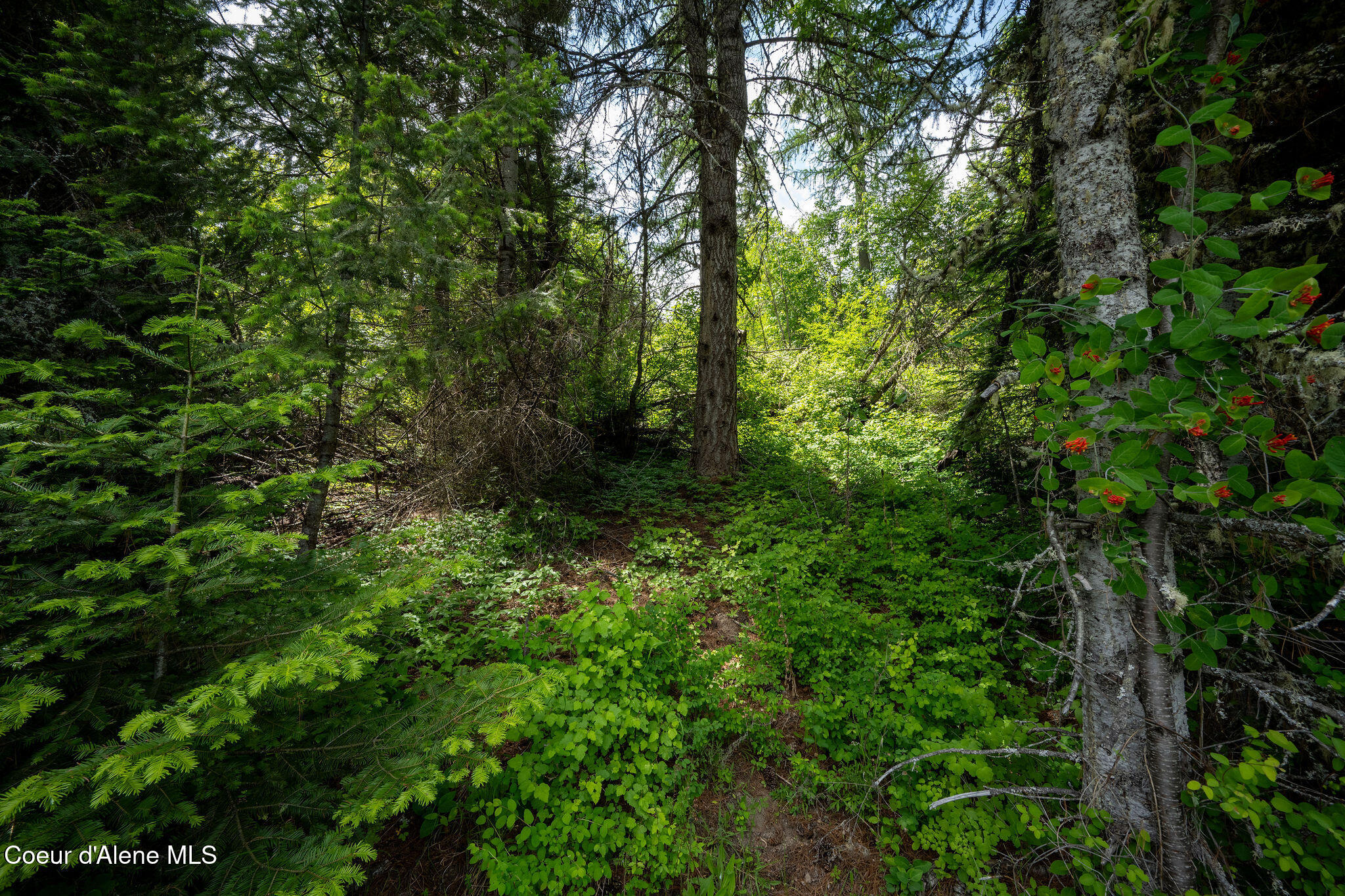 0 Vogel Road Coeur D'Alene, ID 83814 - Photo 21 of 21 DSC_8597