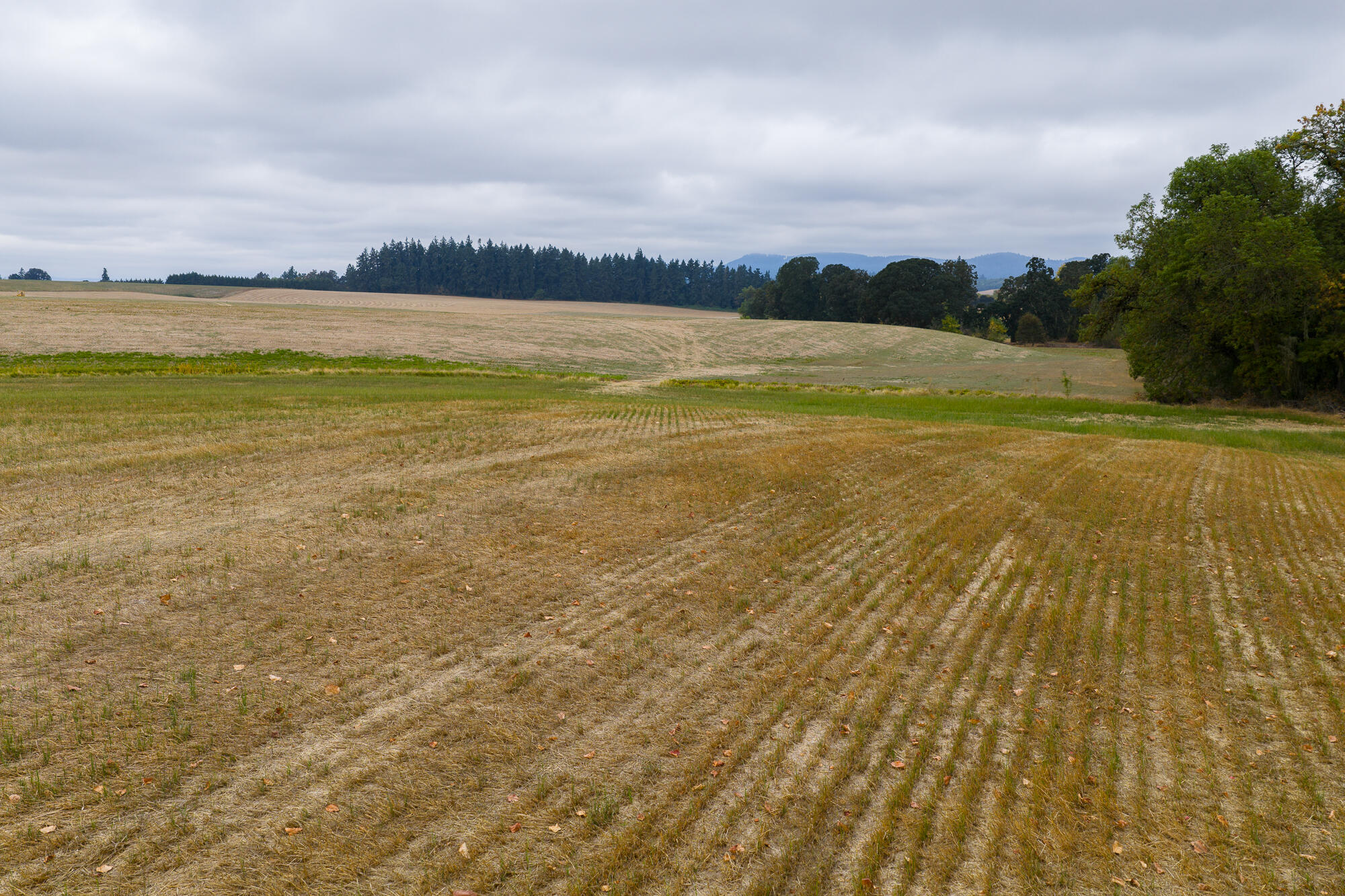 0 Oak Grove Albany, OR 97321 - Photo 12 of 35