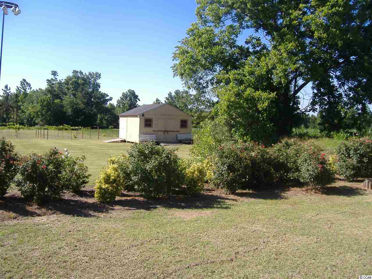 6753 Irvin Enzor Road Nichols, SC 29581 - Photo 7 of 25 Gallery Image 7