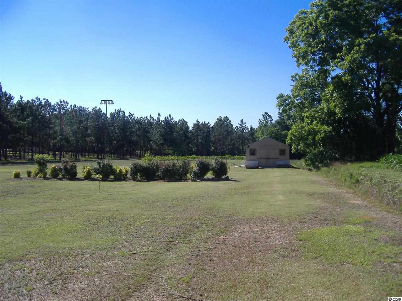 6753 Irvin Enzor Road Nichols, SC 29581 - Photo 9 of 25 Gallery Image 9