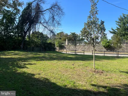 a view of a park with large trees