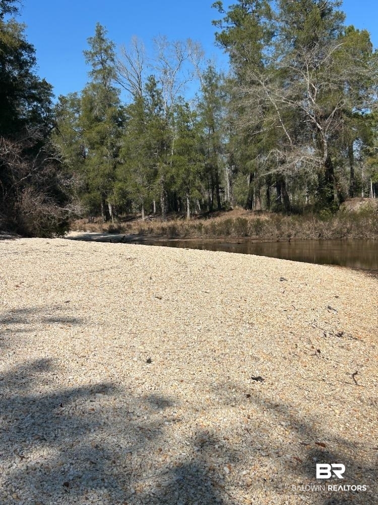 0 Wolf Log Road Flomaton, AL 36441 - Photo 2 of 3