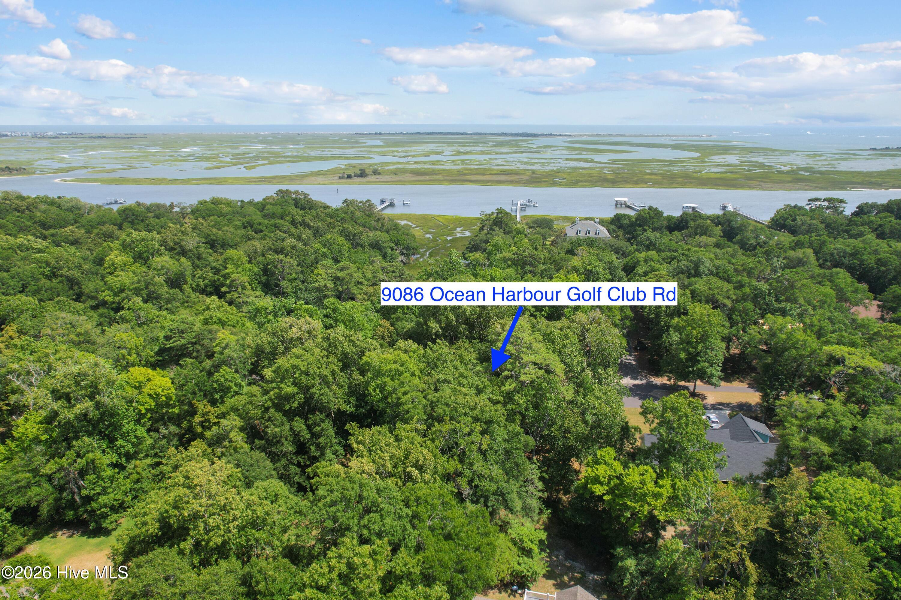 9086 Ocean Harbour Golf Club Road Southwest Calabash, NC 28467 - Photo 8 of 10 Gallery Image 8