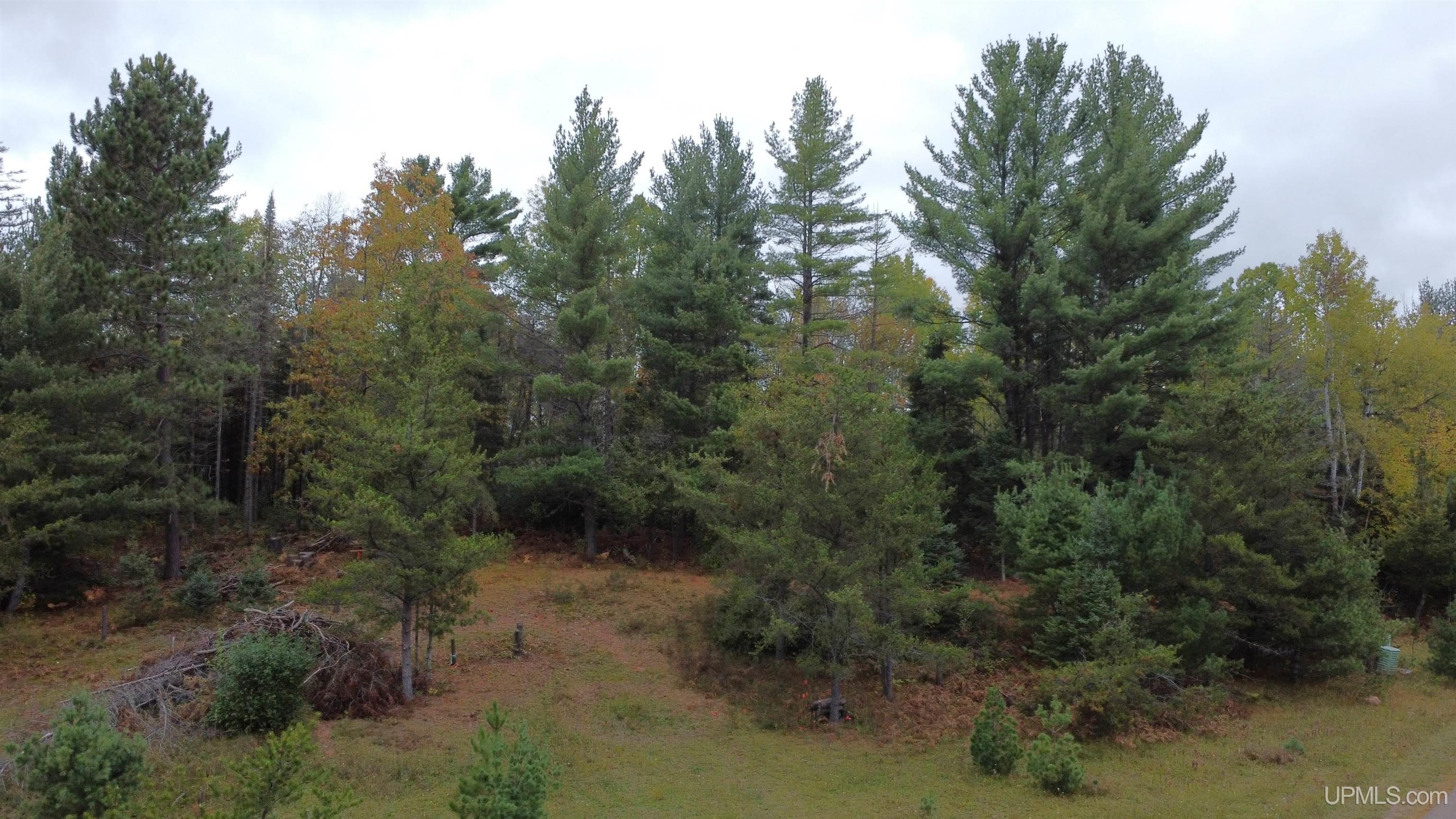 1040 River Ridge Drive Ishpeming, MI 49849 - Photo 1 of 21 Gallery Image 1