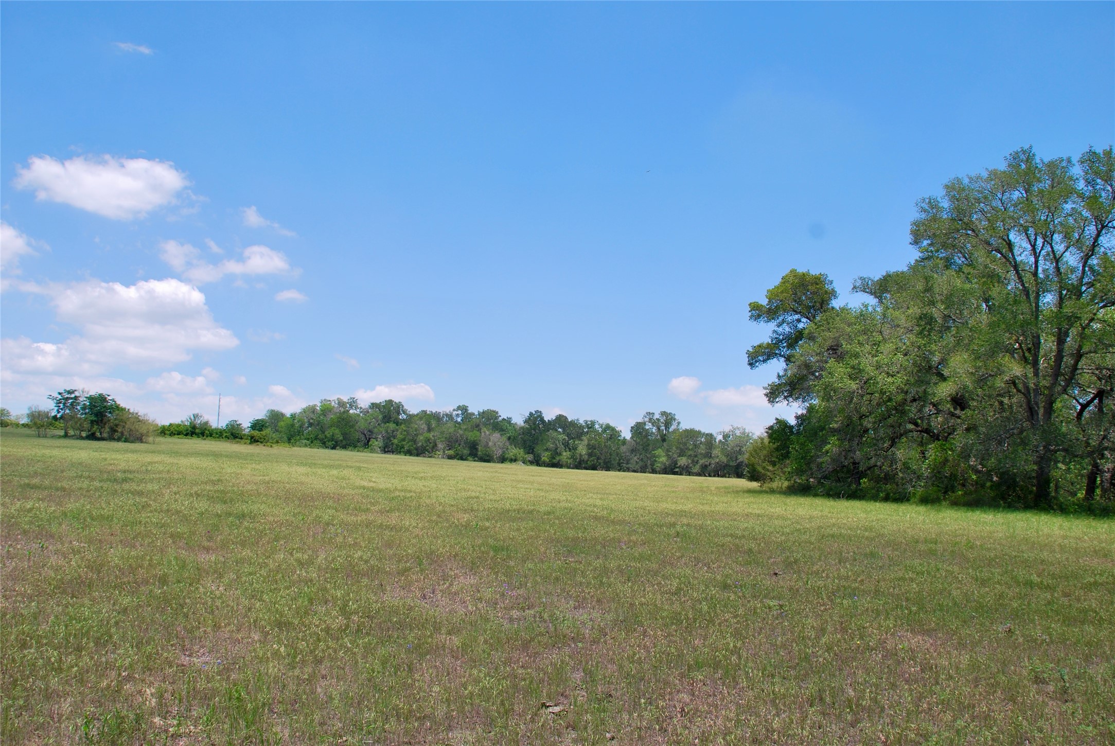 2116 Langdon Road Weimar, TX 78962 - Photo 12 of 43 a view of a big yard with a house in the background